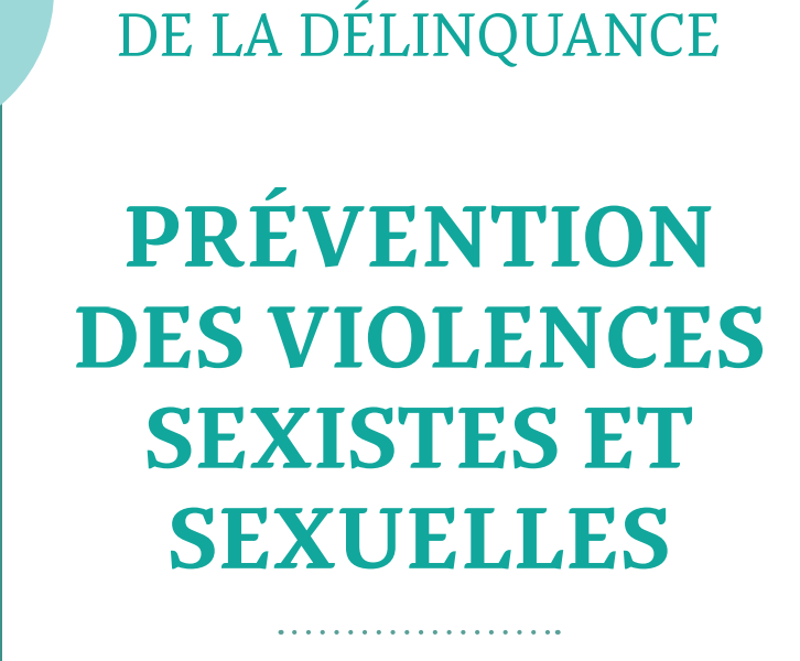 Recueil des actions contre les violences sexistes et sexuelles en France