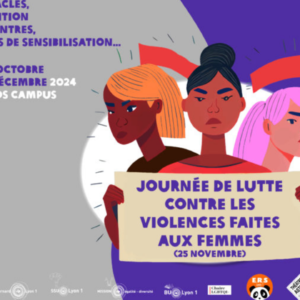 Manifestations de sensibilisation contre les violences faites aux femmes