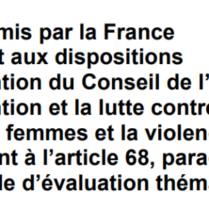 Rapport soumis par la France au GREVIO sur la prévention et la lutte contre la violence à l'égard des femmes et la violence domestique